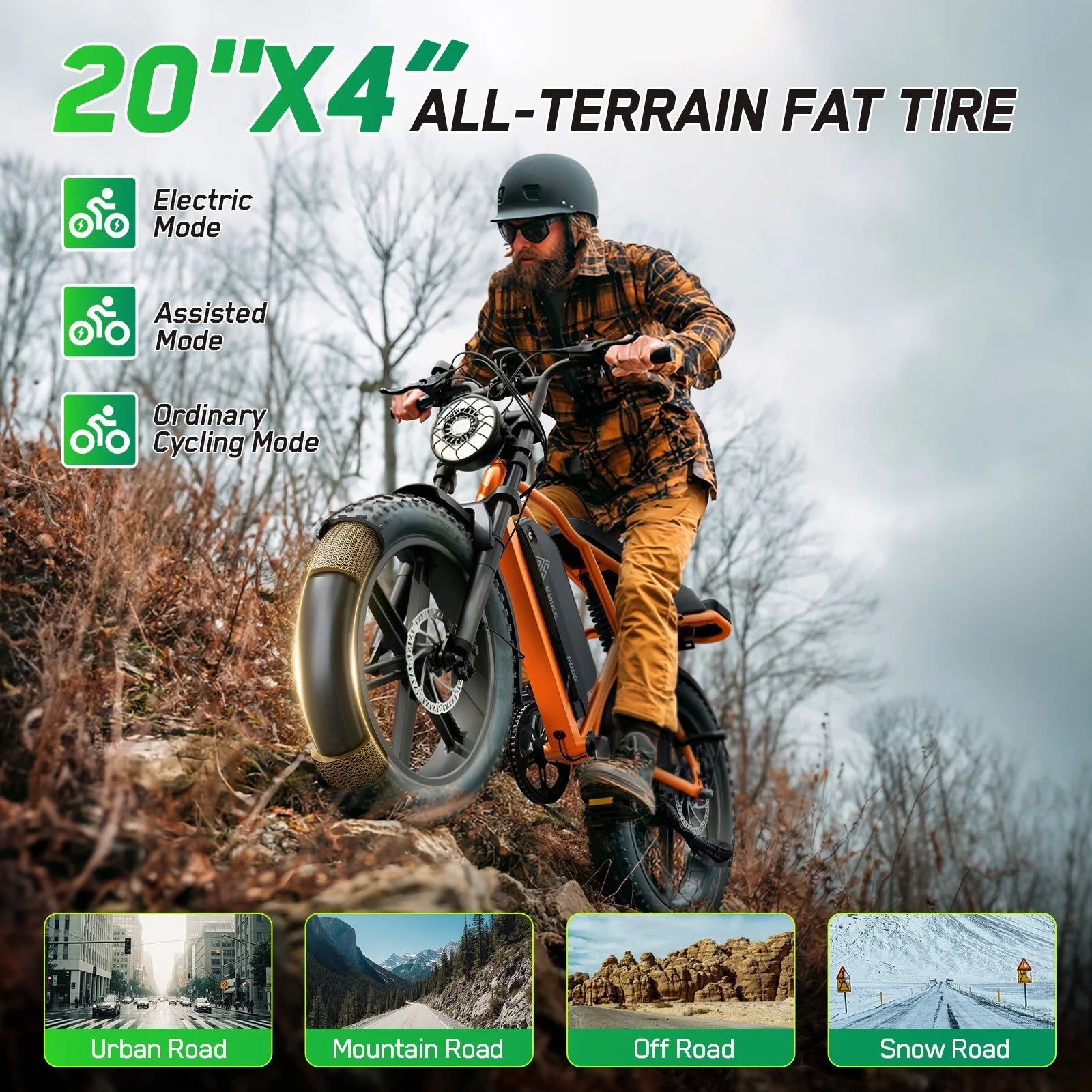 TST Electric Bike for Adults, 750W Peak 1500W Motor, 20"x4" Fat Tire, E Mountain Bike, 48V/15AH UL2849